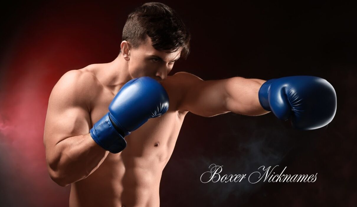 Boxer Nicknames