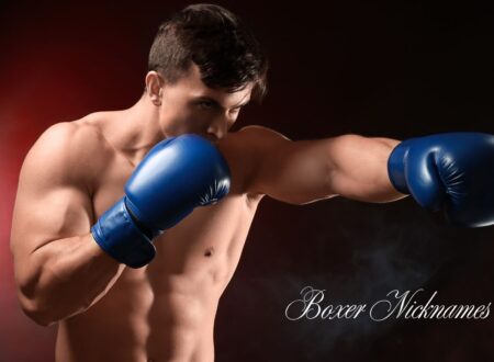 Boxer Nicknames
