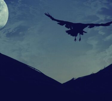 corviknight nicknames