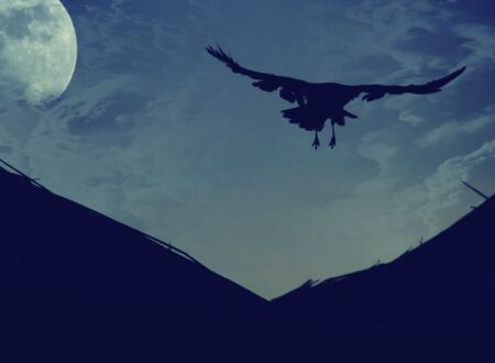 corviknight nicknames