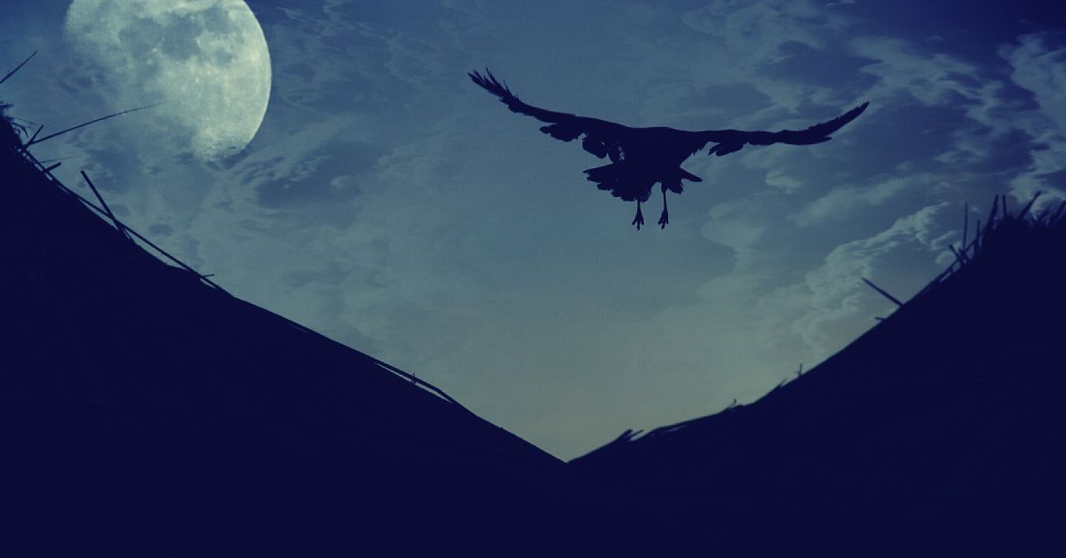 corviknight nicknames