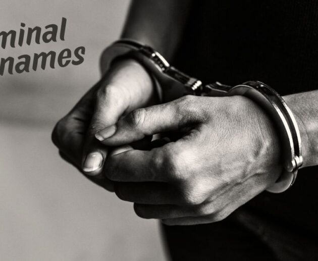 criminal nicknames